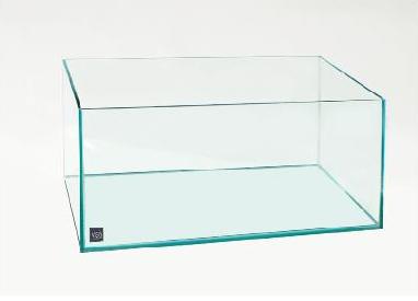 Rimless Aquariums - Rimless